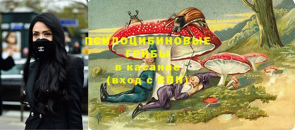 гидра Аркадак