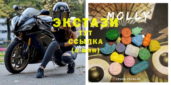 гидра Аркадак