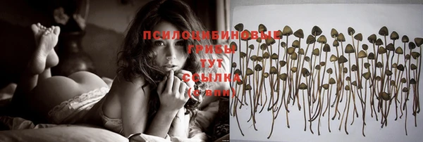 первитин Арсеньев