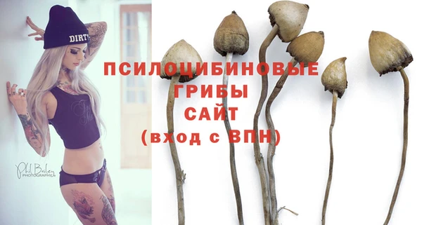 гидра Аркадак