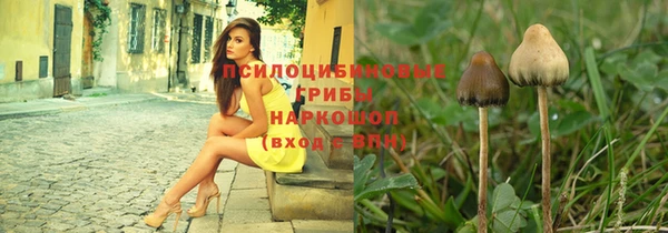 гидра Аркадак